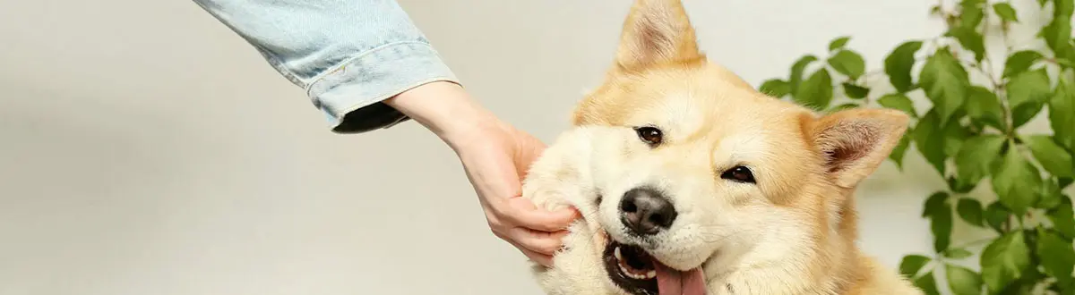 hombre tapándose la cara con la mano